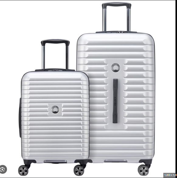 Delsey Paris 2 Piece Luggage Set Silver