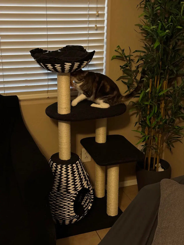 cat tree is a certified buy